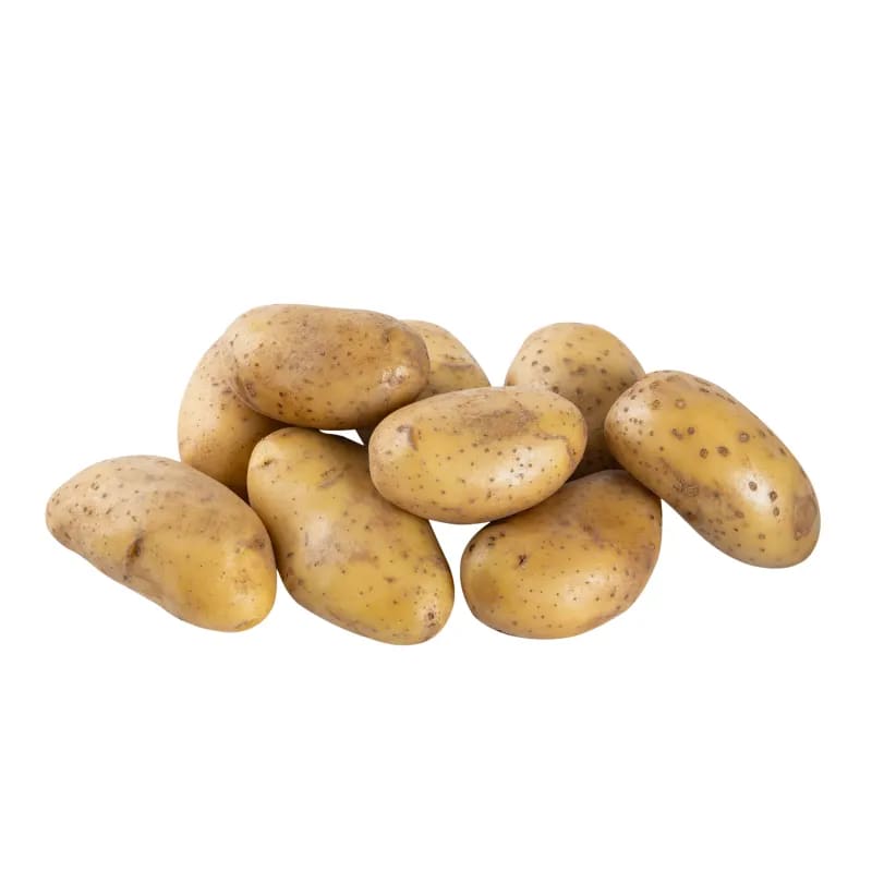 Potato Fixed  size