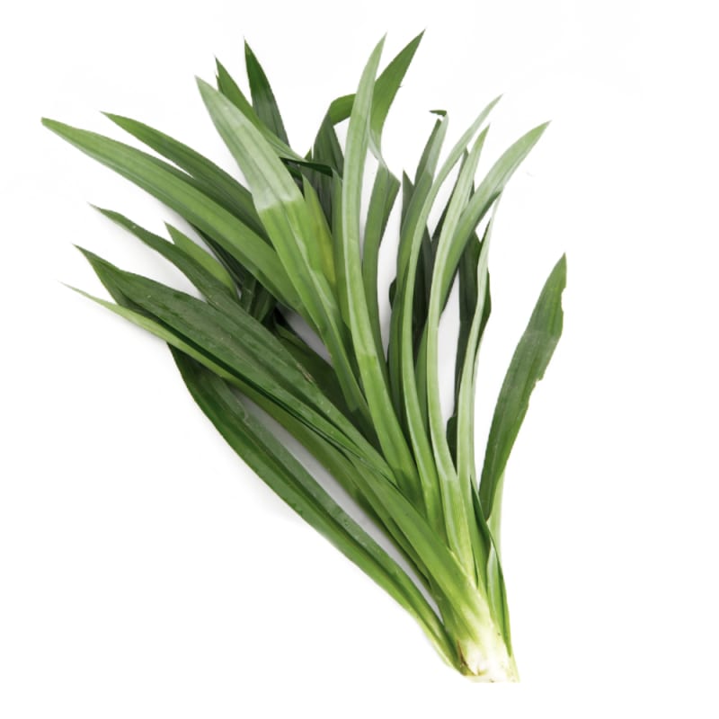 Pandan Leaf Best Price