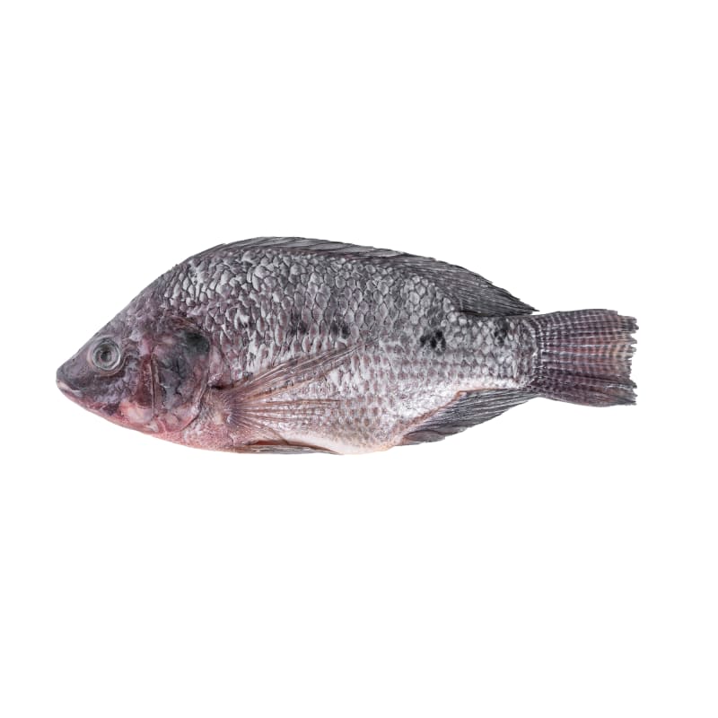 Tilapia (Scale and Entrails off)