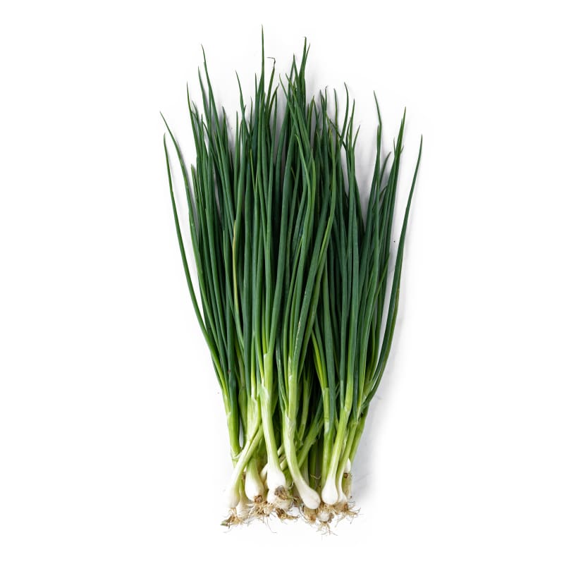 ต้นหอมไทย