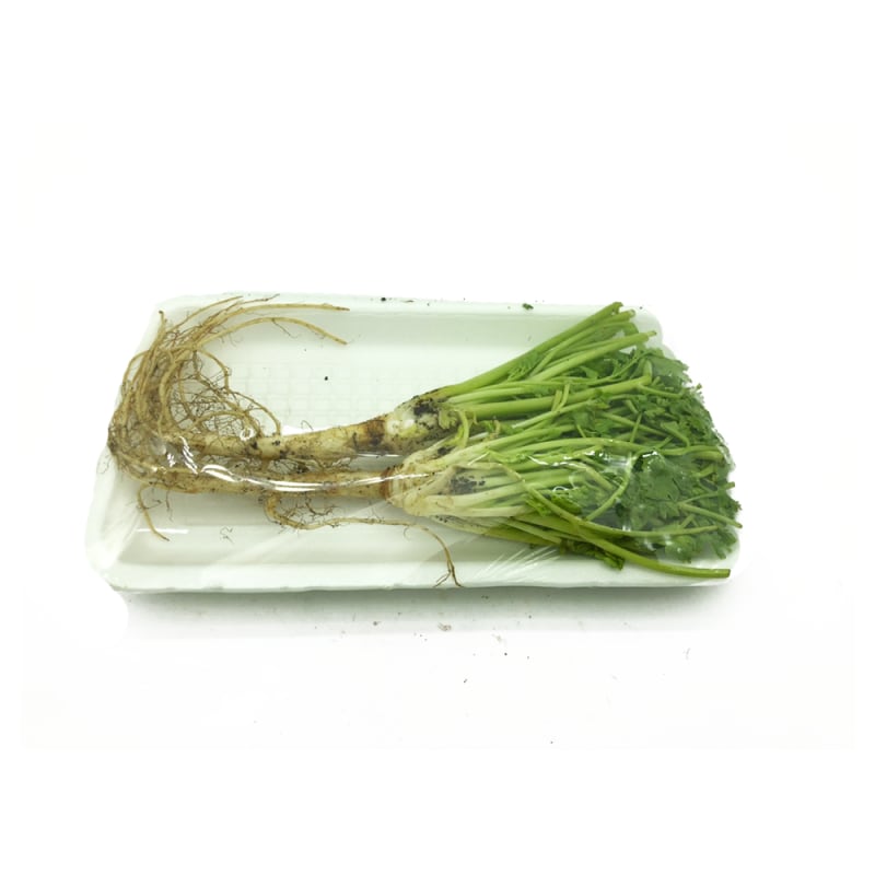 Coriander Root (Trimmed)