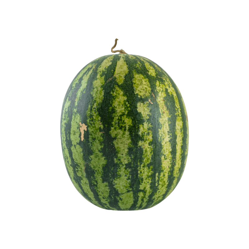 Kinnaree Watermelon size 1.5-2 kg./fruit