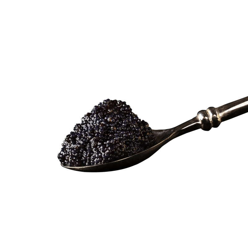 Frozen Masago - Japanese Capelin Roe Black (Premium Grade) | Order ...