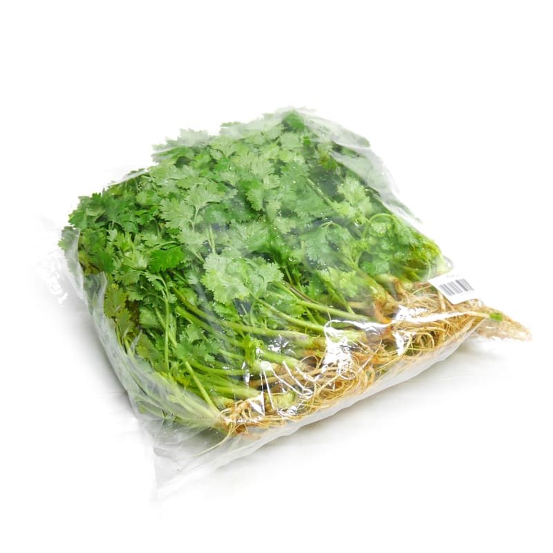 Coriander with Roots (Trimmed)