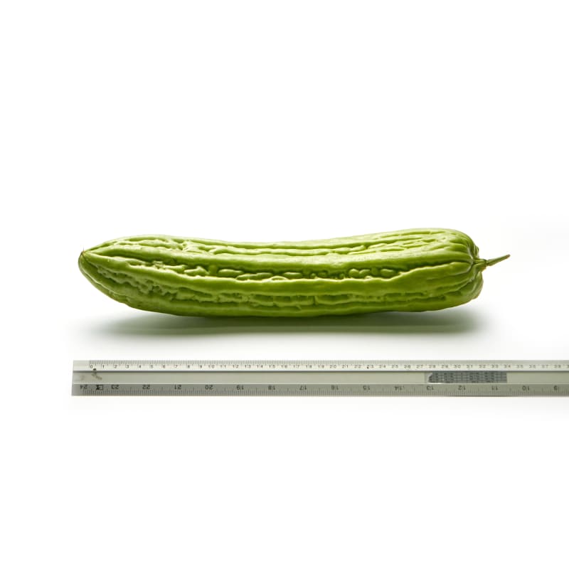 Chinese Bitter Gourd size 500-600 g./each