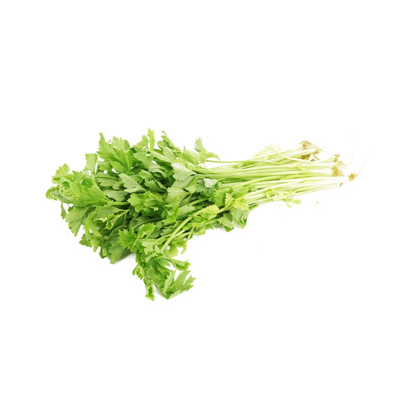 Explore Fresh Thai (Chinese) Celery 100g Imported Weekly