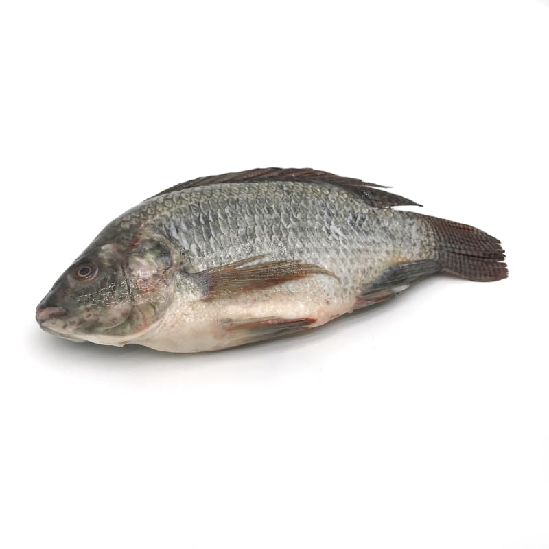 Nile Tilapia (Scale and Entrails off) Gross Weight