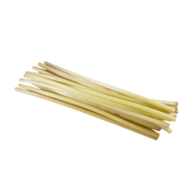 Lotus Stem Best Price