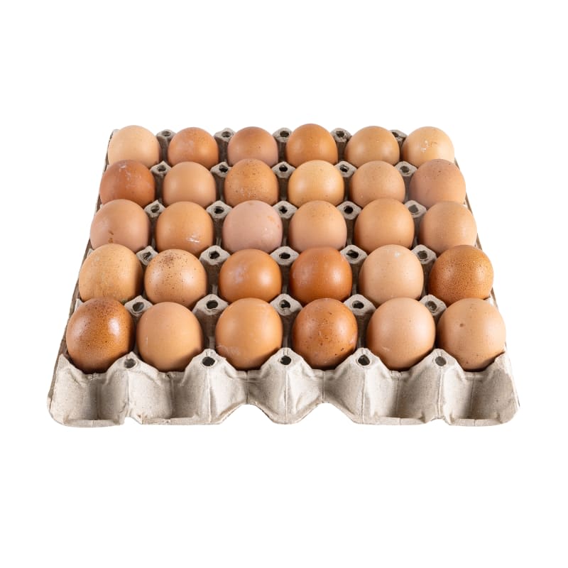 Eggs Thin-Shelled No.1 No Cover Lid