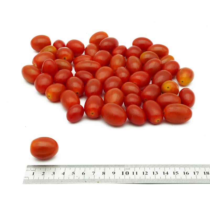 Thai Cherry Tomato size M