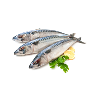 ปลาและอาหารทะเล