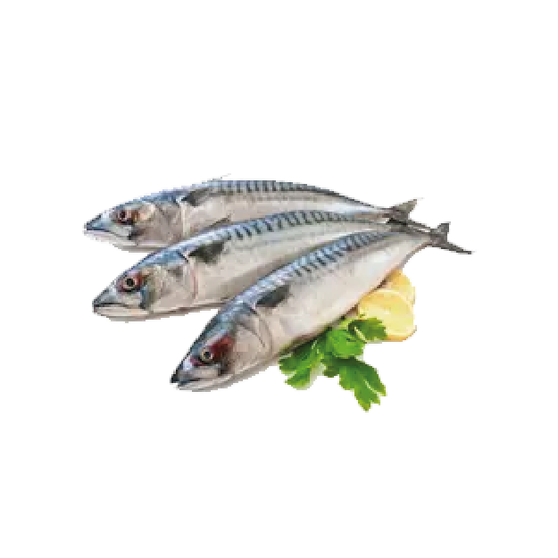 ปลาและอาหารทะเล