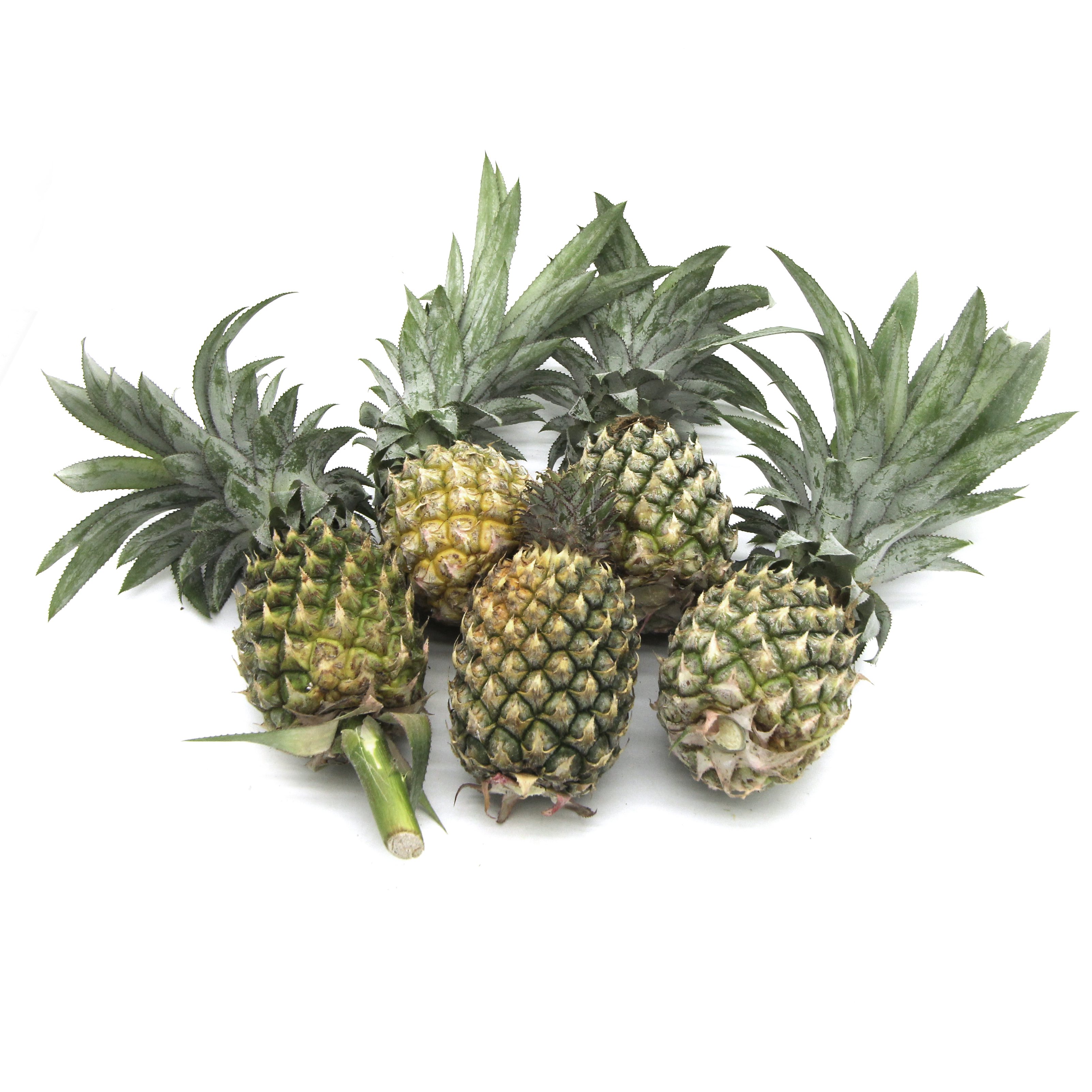 Phulae Pineapple | Order ingredients online | freshket
