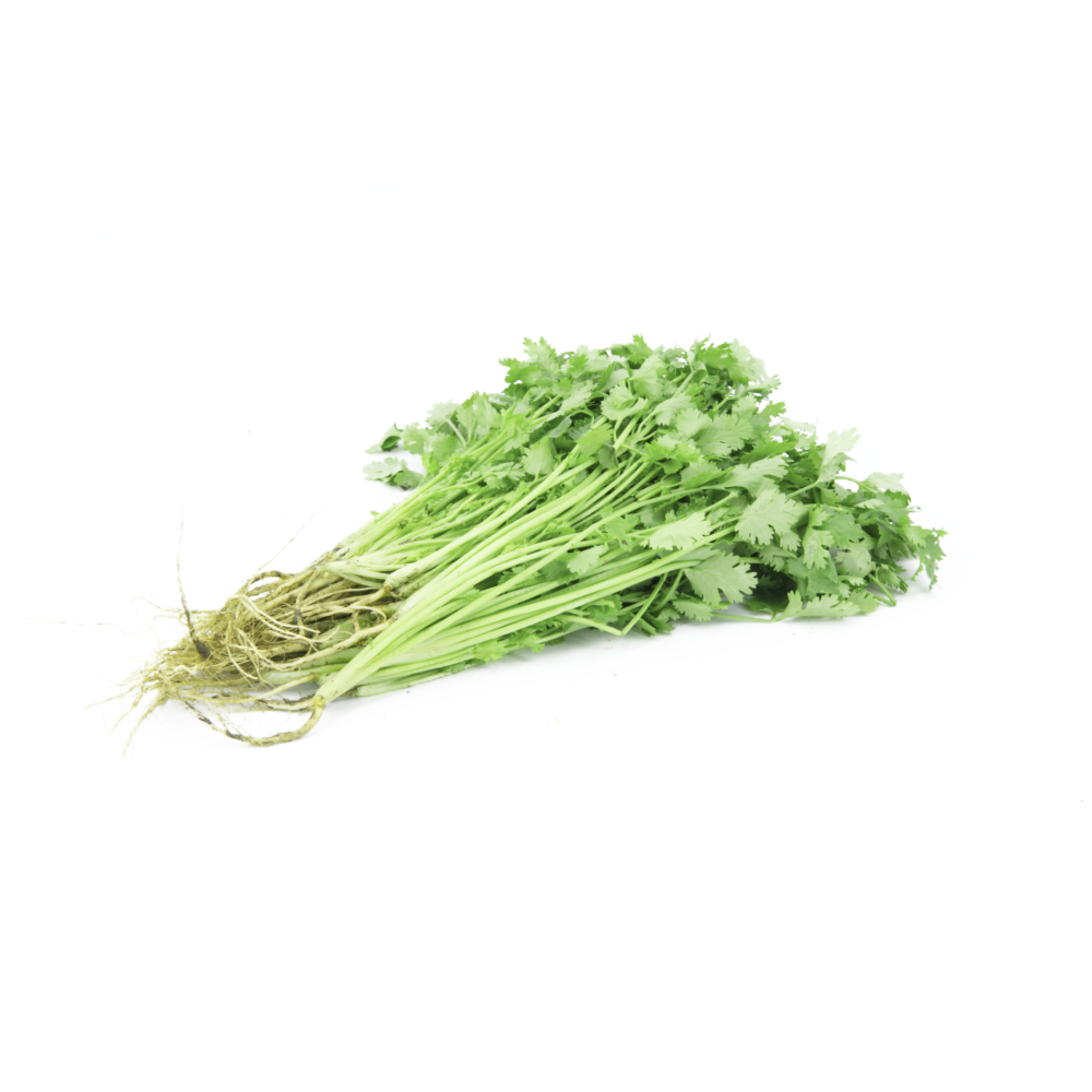 Coriander with Roots Order ingredients online freshket