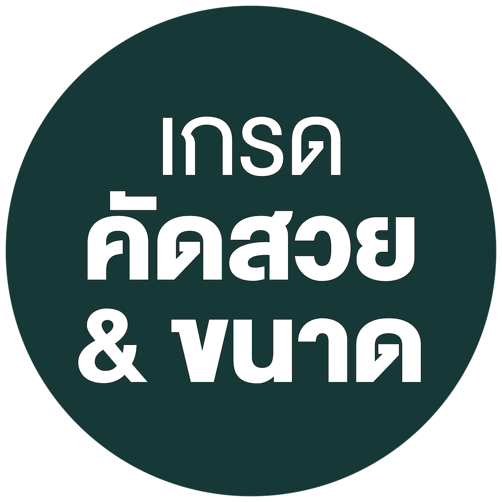 size_and_visual_selected