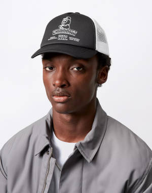 T-shirt Stüssy Lion LS Zip Polo | Freshlabels.com