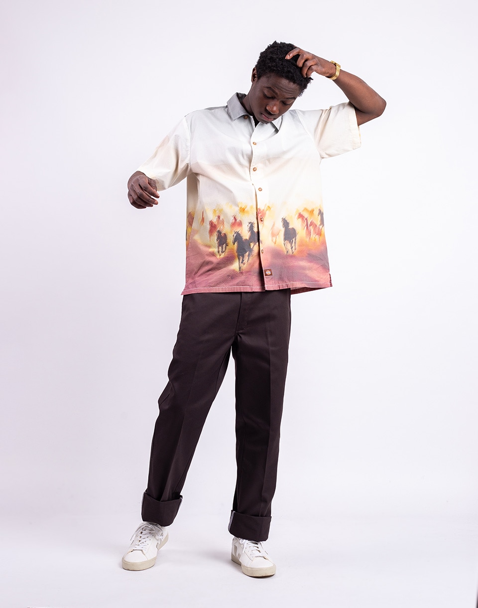 Dickies 874 Work Pant Rec DARK BROWN W32/L34