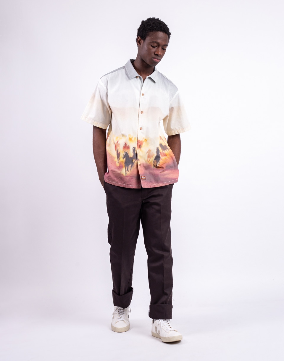 Dickies 874 Work Pant Rec DARK BROWN W29/L30