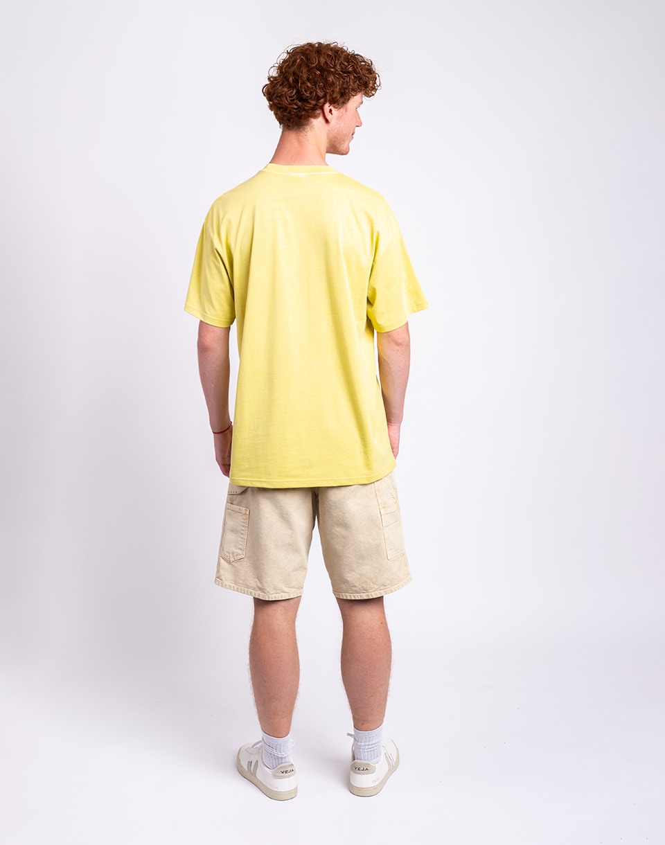 Carhartt WIP S/S Terrestrial T-Shirt Fandoghi/Suncrest pigment garment dyed L