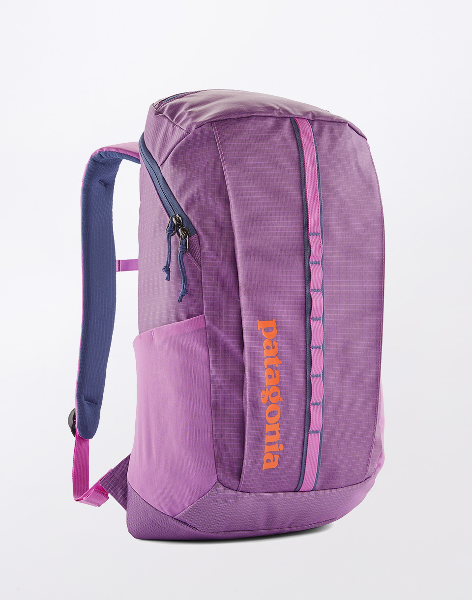 Batoh Patagonia Black Hole Pack 25L Brisk Purple