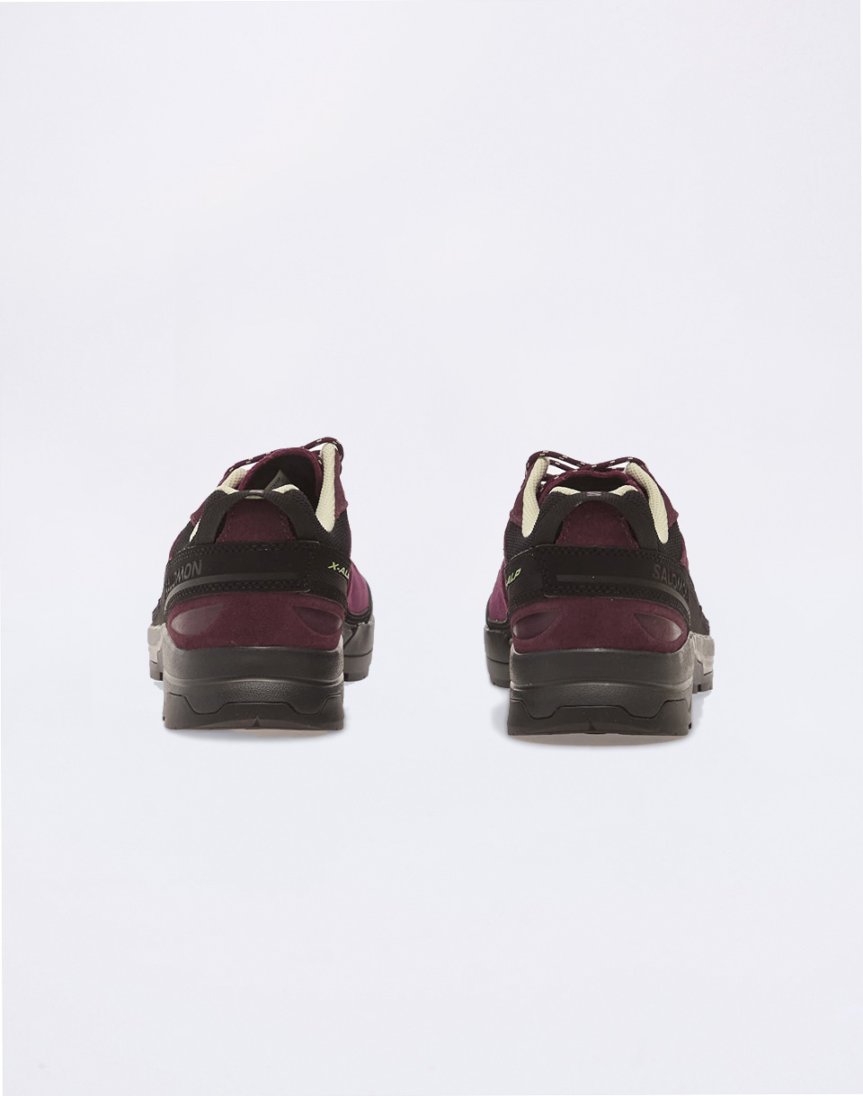 Salomon X-ALP LTR Winter Bloom/Plum/Lime C 42