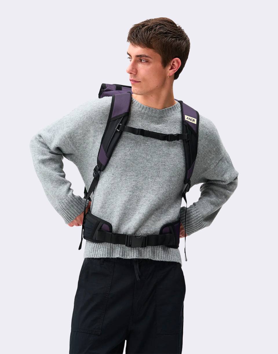 Aevor Travel Pack Proof Phantom Purple