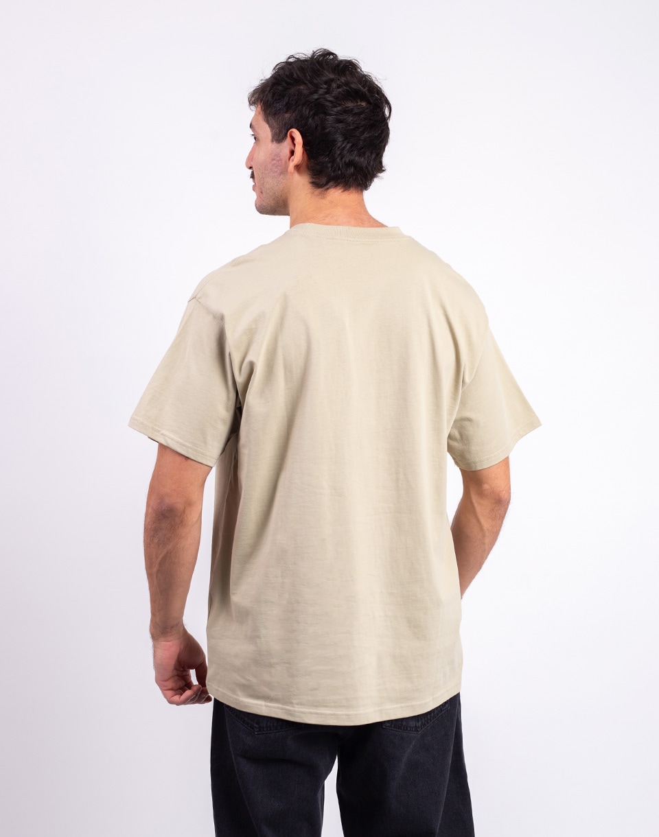 Carhartt WIP S/S Script Embroidery T-Shirt Barchan/White S