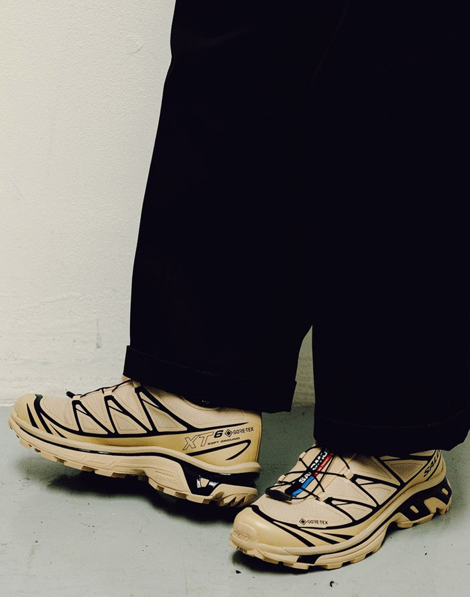 Salomon XT-6 Gore-Tex Safari/Safari/Black 40