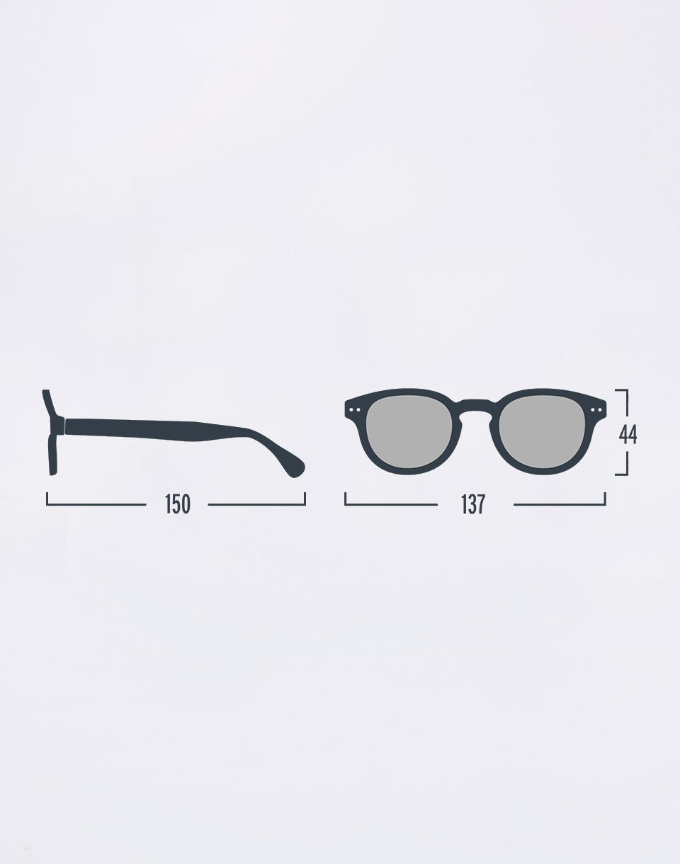 Izipizi Sun #C Blue Tortoise