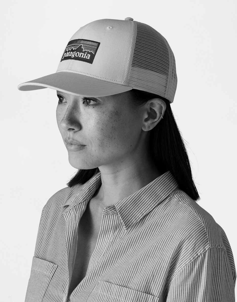Patagonia P-6 Logo Trucker Hat Gumtree Green