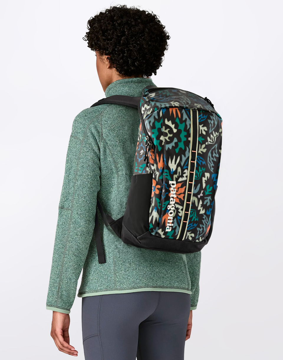 Patagonia Black Hole Pack 25L Kaleido: Black