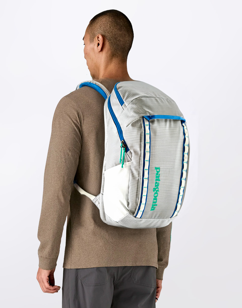 Patagonia Black Hole Pack 32L Birch White