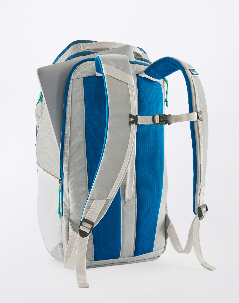 Patagonia Black Hole Pack 32L Birch White