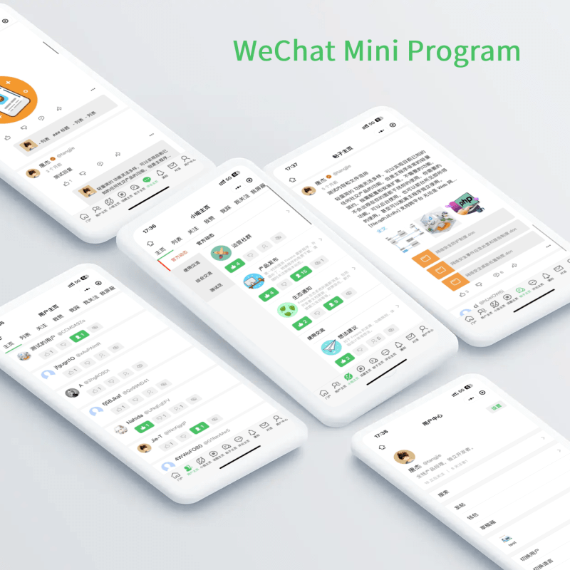 WeChat Mini Program(Developer)