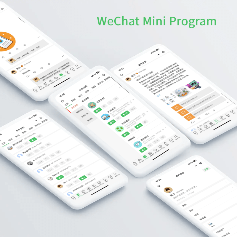 WeChat Mini Program for Developer