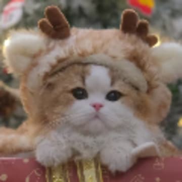 胡不喜