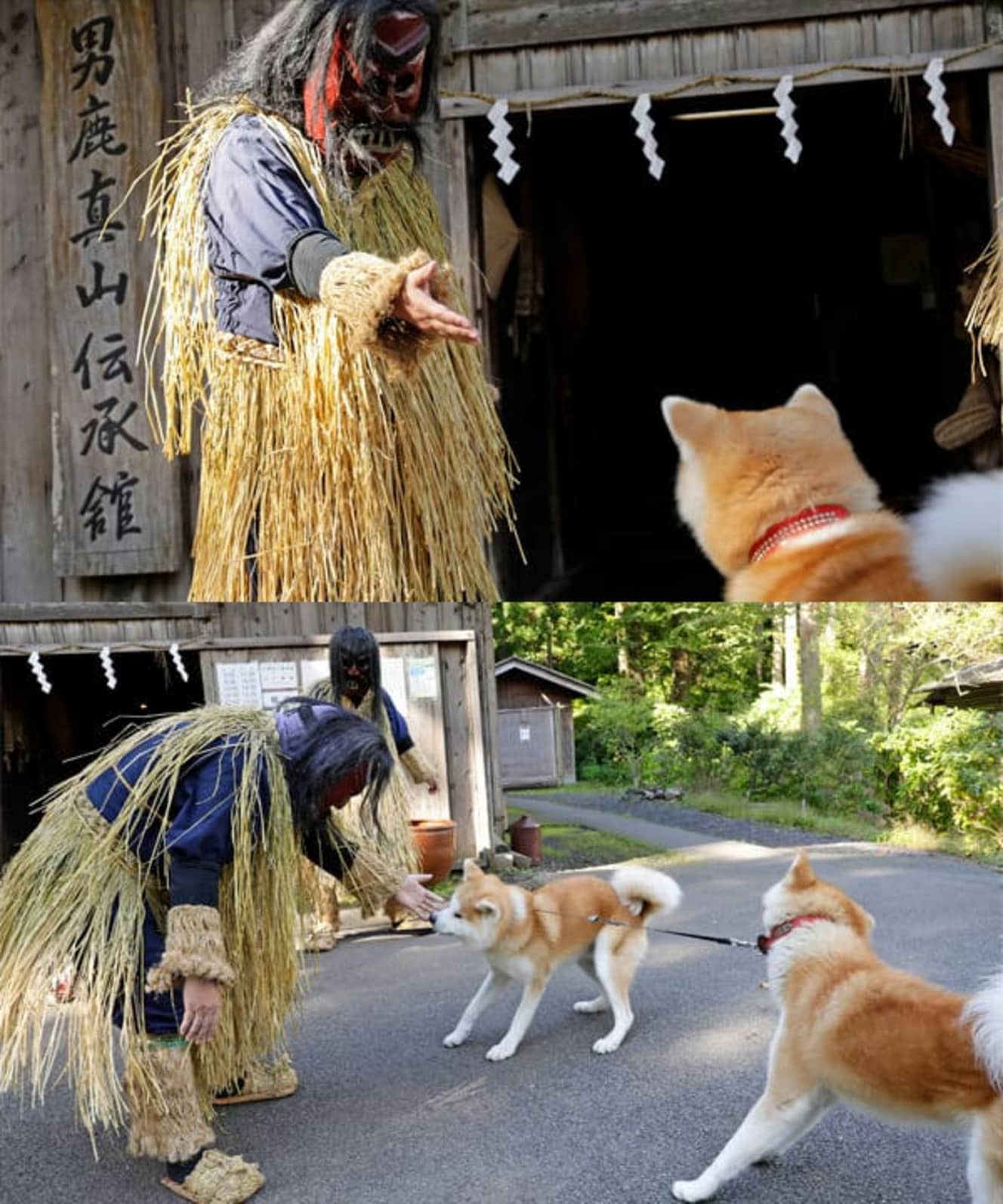 「ほら、ゴン。こっちゃ、こい。玄関先で居眠りばっかりしてないか? ちゃんと番犬として働いてるか?」 「は、はい・・・・・・」 「兄ちゃん、いつも玄関で居眠りしてるなんていえないよね」