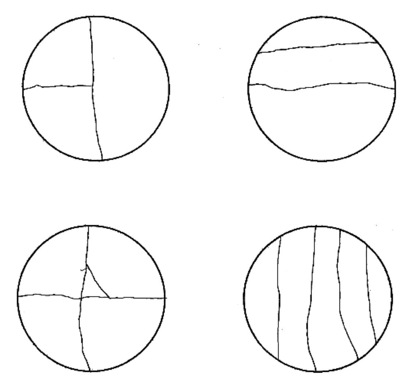 ケーキの分割図(少年たちが書いたものを著者が再現)