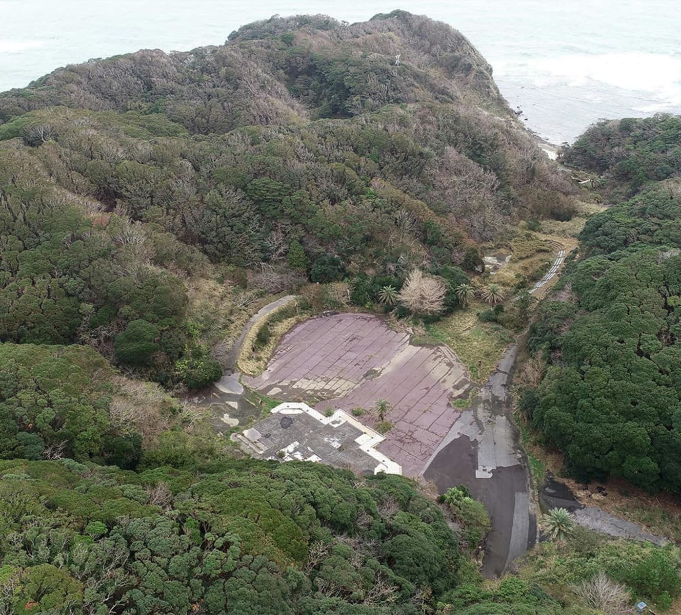 千葉県勝浦市にある『行川アイランド』の跡地。ここで飼われていたキョンが脱走し、4万頭まで繁殖した