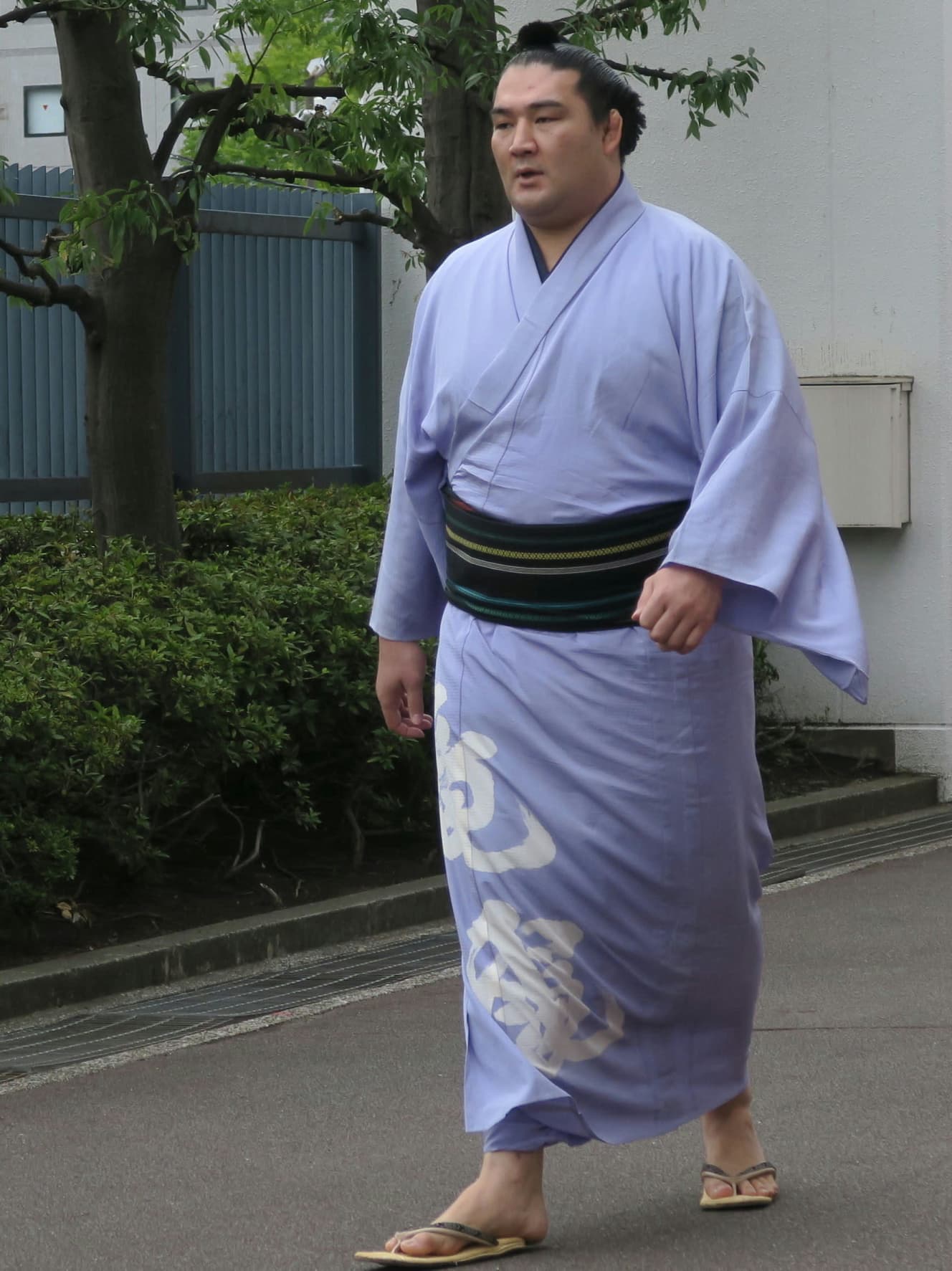 山梨県甲府市出身/高田川部屋所属の竜電