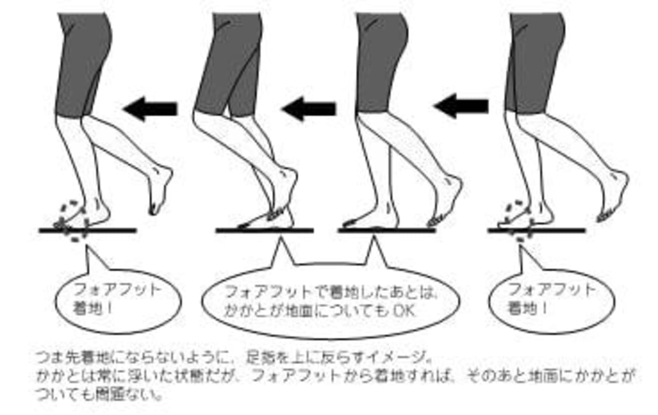 フォアフット着地をすることで、脚にかかる負担を軽減することができる