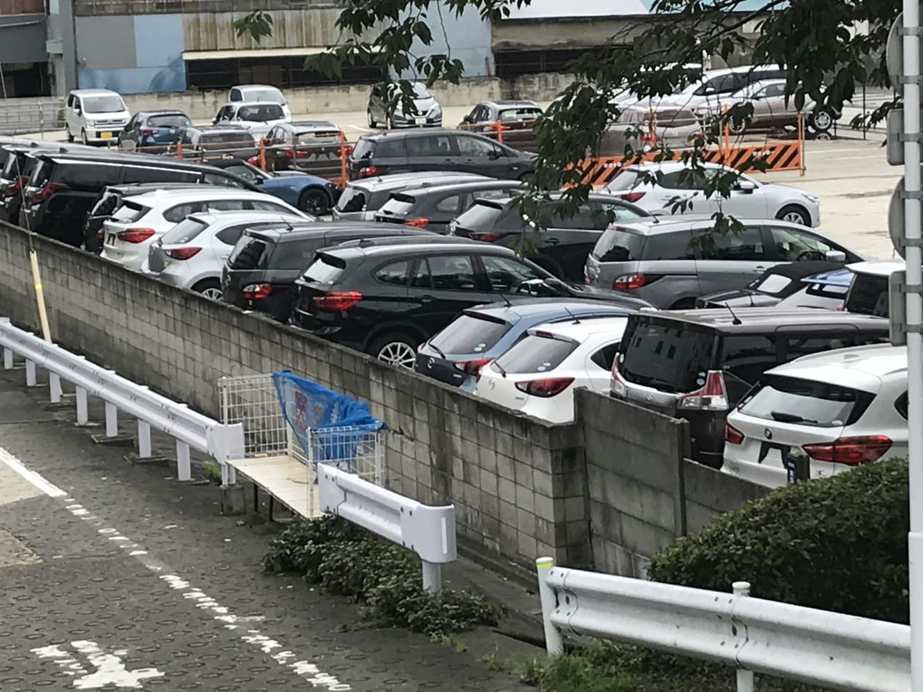 中古車市場の回復とともに、市場に出回ると思われる車の数々