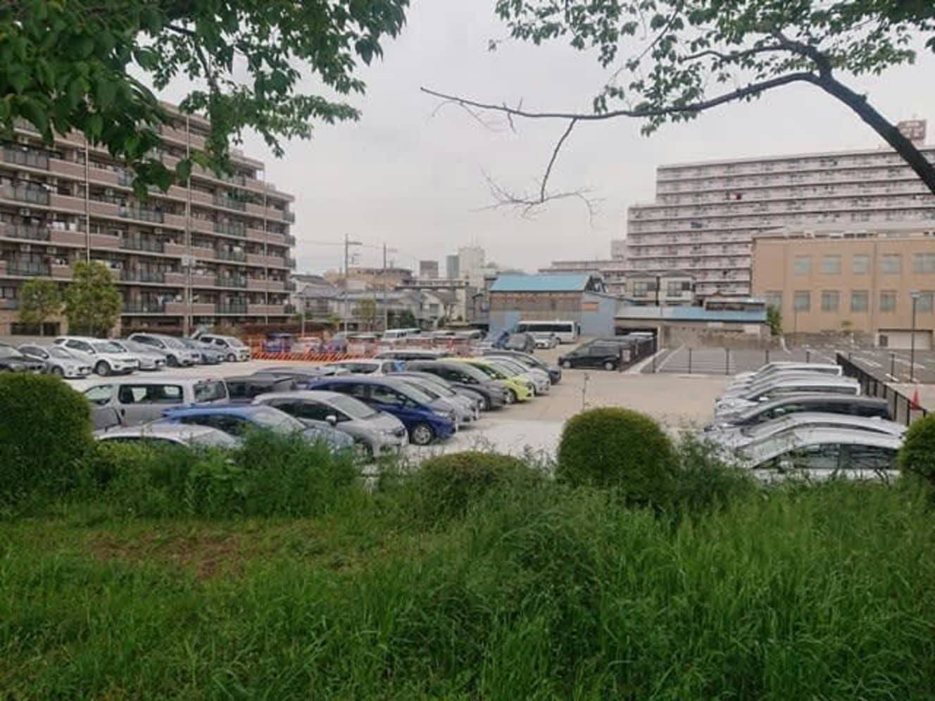 2月の段階では何もなかった更地に、廃車するにはもったいないキレイな車が集まってきた