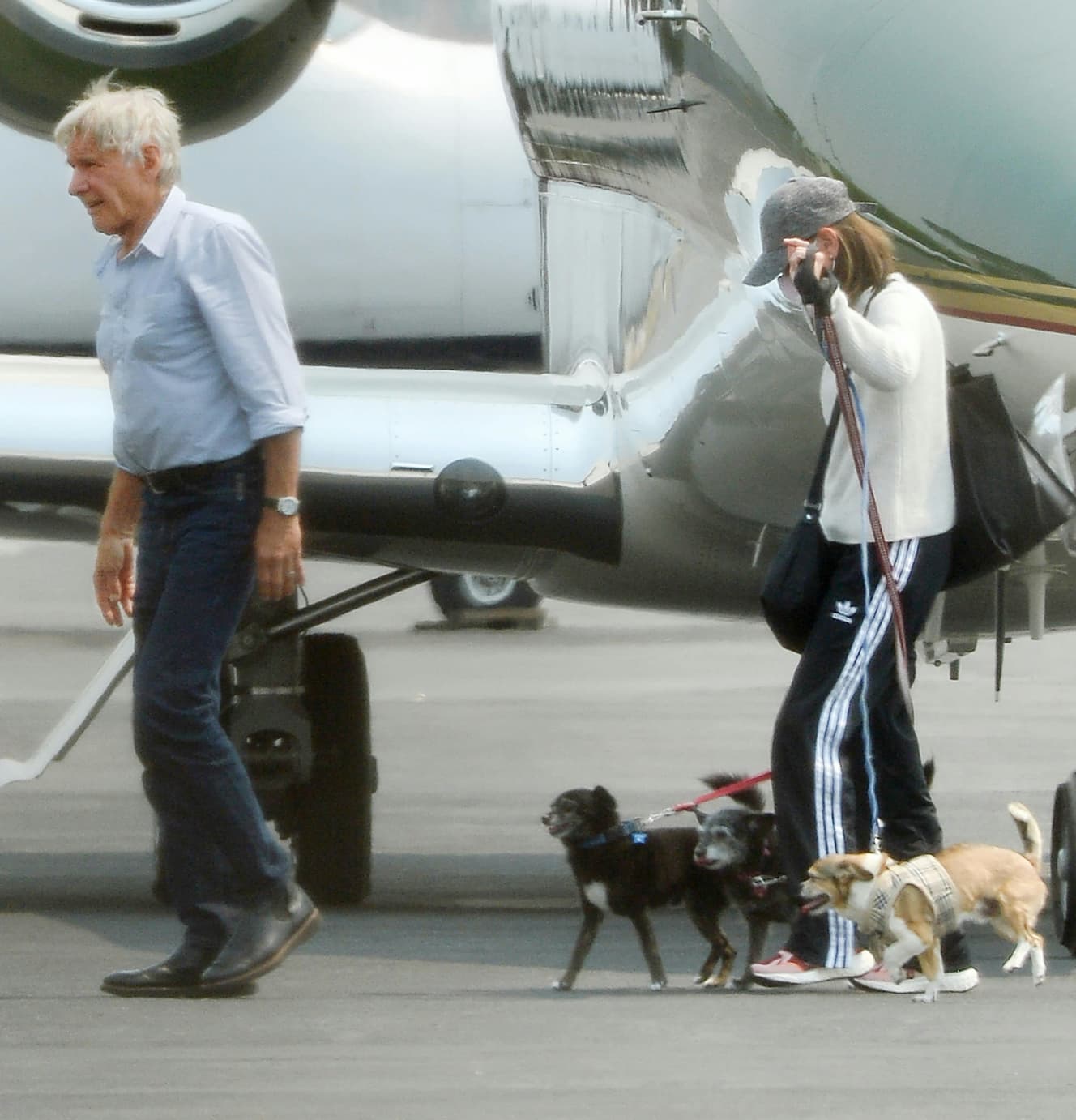 プライベートジェットから降り22歳年下妻に犬のリードを託す『インディ・ジョーンズ』主演俳優のハリソン・フォード(78) 写真:アフロ