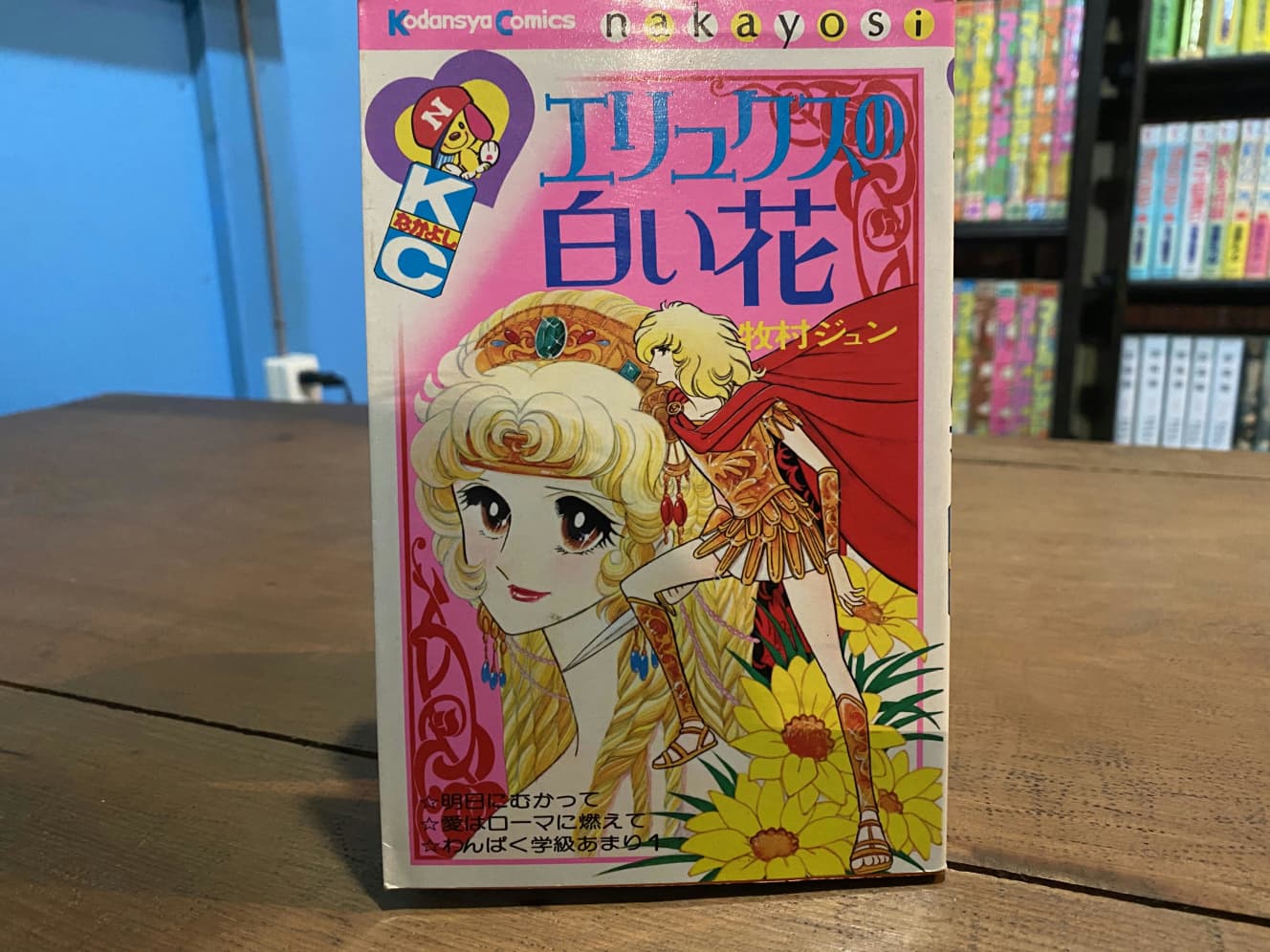 発見。これが「私的幻作品」!