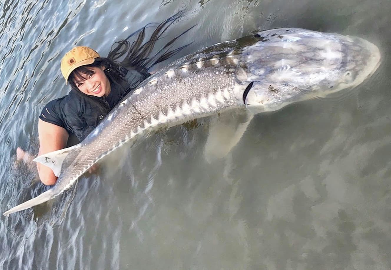 釣り歴２年で釣った最大の獲物はカナダのチョウザメ。釣った後は一緒に写真を撮ってリリースするという