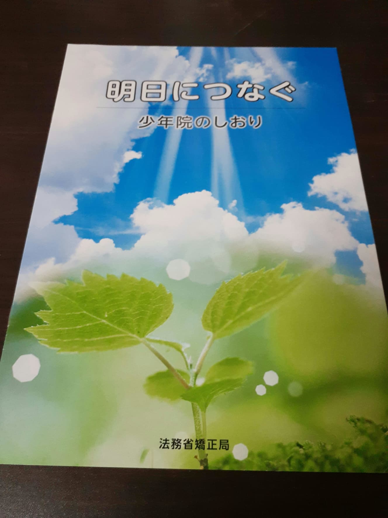 法務省が作成した「少年院のしおり」