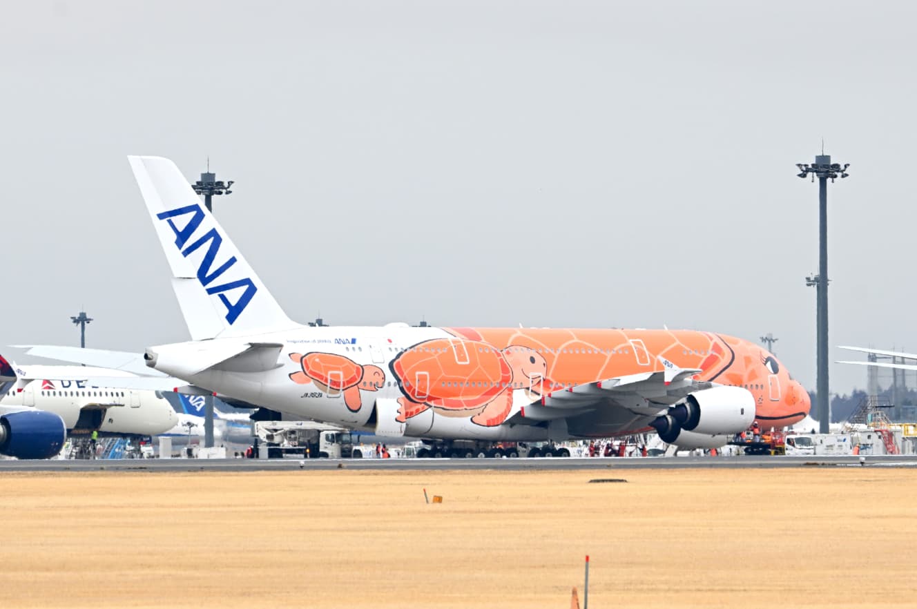 ANA「フライングホヌ」3号機。ハワイへまだ飛び立ったことがない