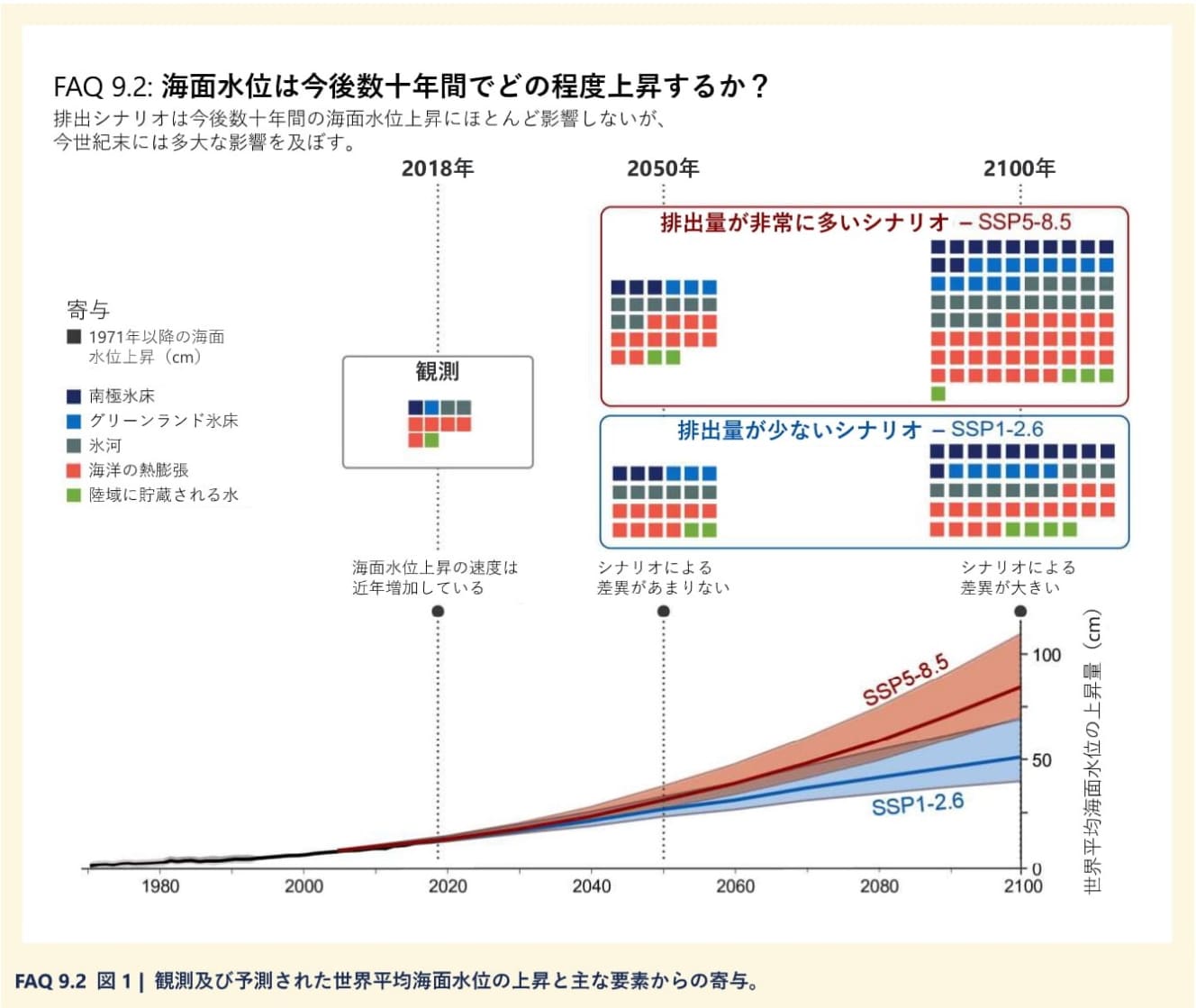 青線は2050年までにCO２排出量をゼロにした場合、赤線は何もしなかった場合に、水位上昇を示したもの（出典：IPCC第６次評価報告書第１作業部会報告書「よくある質問と回答」暫定訳〈文部科学省及び気象庁〉より、図FAQ 9.2を転載）