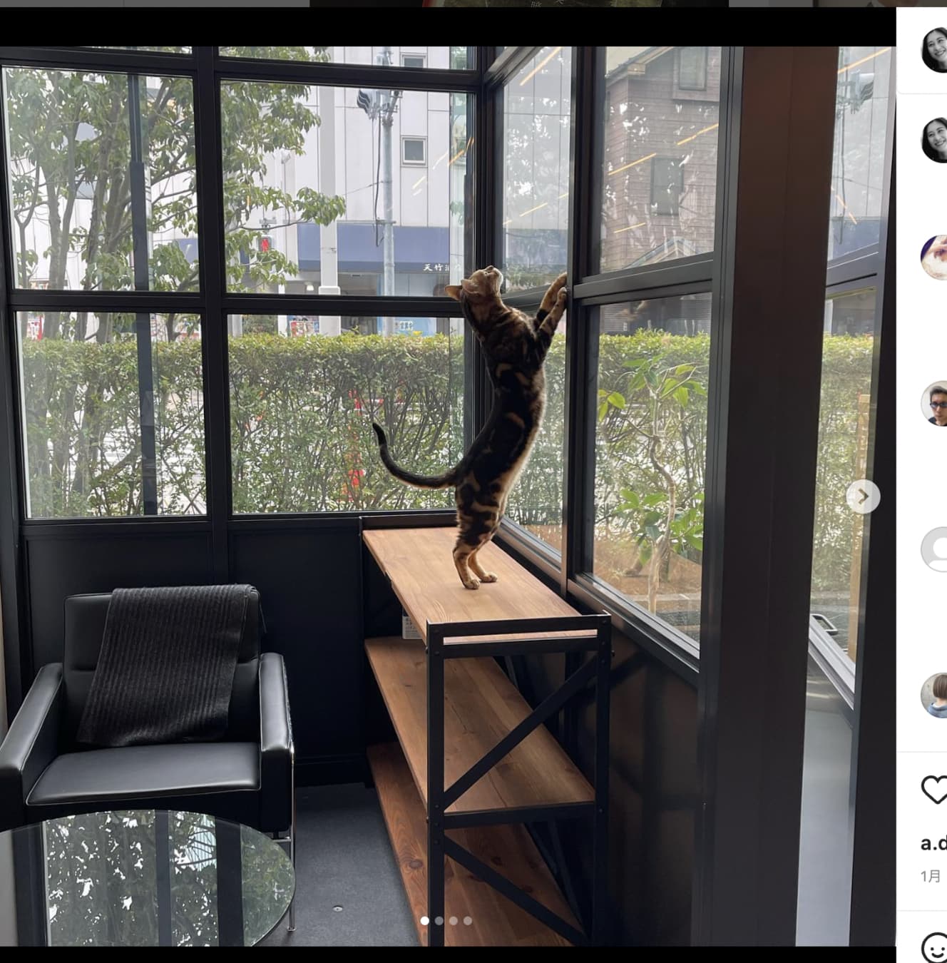 オフィスに猫を連れてきている写真もアップしていた（写真は瑠麗氏のインスタグラムより）